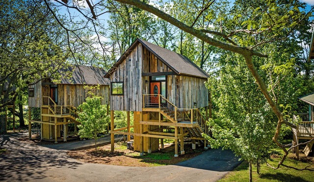 Fairway Treehouses
