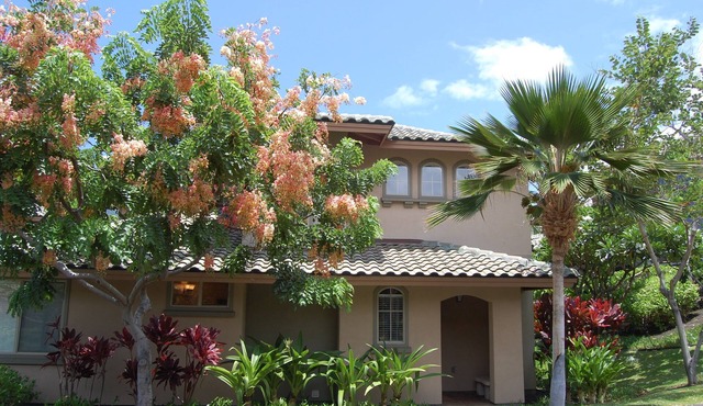 Fairways 1706 - Renovated, includes Beach Access, Bikes