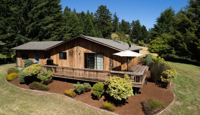 ☀️🌲Falcons Perch: Nature Lover's Dream, in coastal hills above Blue Lake🪶