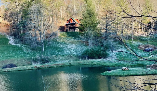 FALL ESCAPE 4-bedroom dog-friendly log cabin