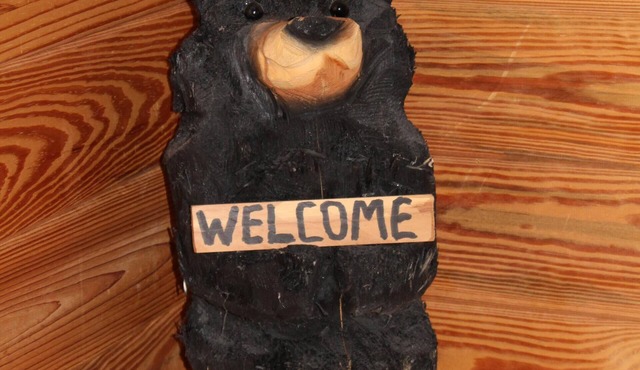 Fall fun at the cabin! Convenient to Lake Keowee and Clemson