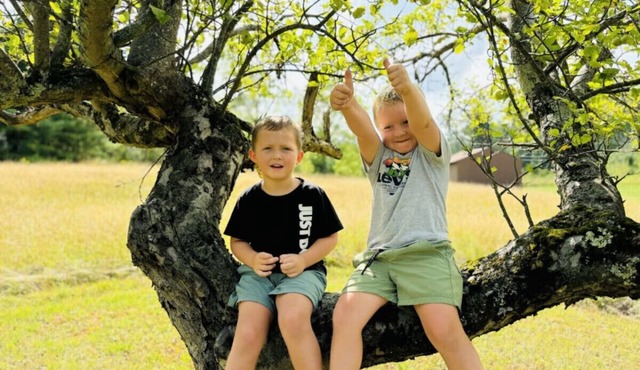 Fall Getaway Chalk Hill: Sleeps 10 · 4BR 2BA · Hot Tub Fire Pit Grill Fireplace