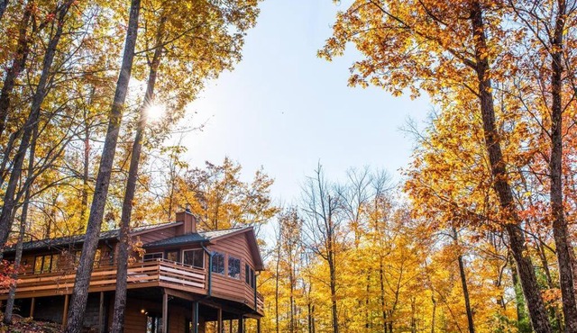 Fall Getaway Resort-3 KING suites, Dog-Friendly