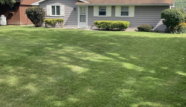 Fall specials on cozy newly renovated cottage with AC right on the lake