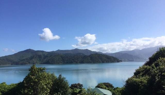 Families and Pets- Broadford at Tara Bay