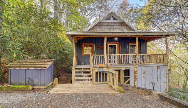 Families Welcome! Blue Ridge Cabin w/Fire Pit