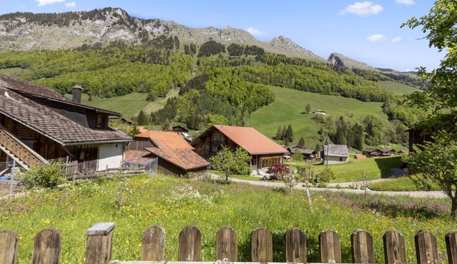 Famille & Nature dans Chalet Traditionnel