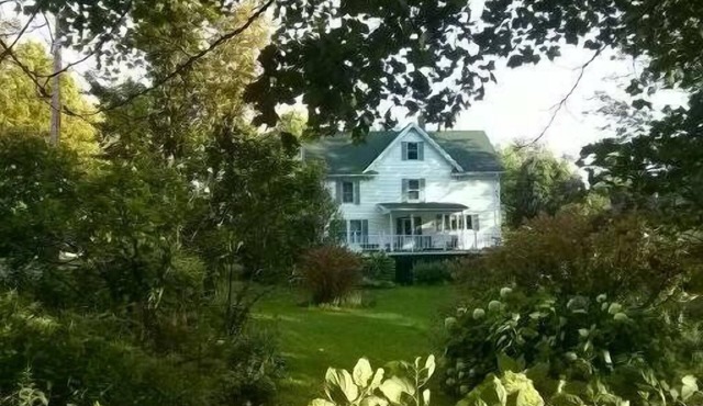 family and pet friendly