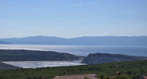 Family and pet friendly apartment Frankopan Croatia