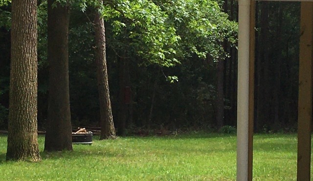 Family and Pet friendly- Shirley Creek lake house at Sam Rayburn!
