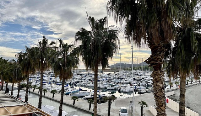 Family apartment 2 rooms, near beach, garage, balcony - Argelès-sur-Mer
