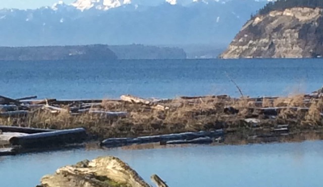 Family Beach Cabin on Sunlight Beach Useless Bay, Whidbey Island