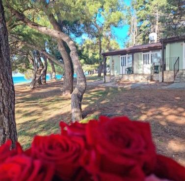 Family Bungalow Pineta