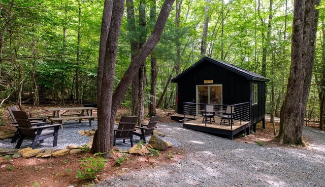 Family Bunk Glamping Cabin - Can't Bear To Leave