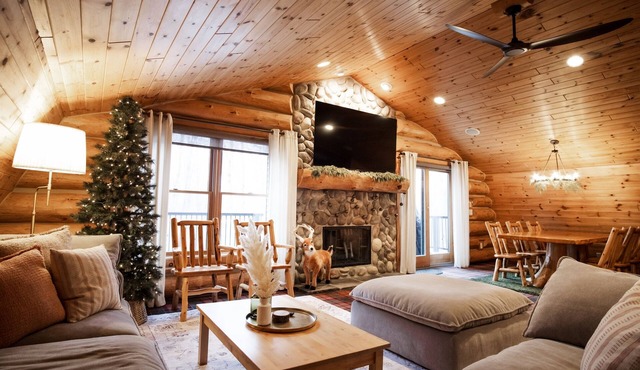 Family Cabin - Indoor Hot Tub, Rec Room, Rock Wall, Indoor Swingset, Arcade