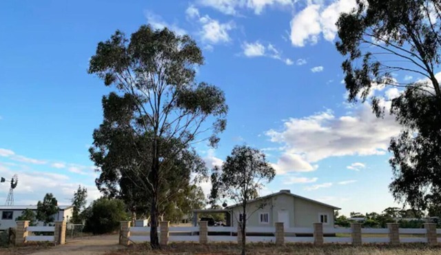 Family Cabin near Murray, Sleeps 6, Dogs ok