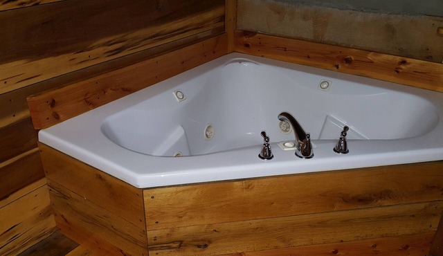 Family cabin with whirlpool tub (cabin #2)