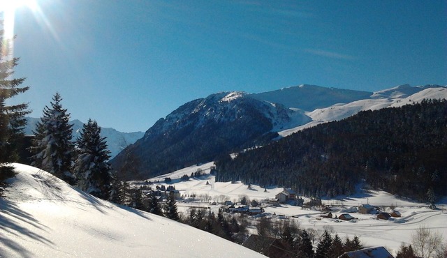 Family Chalet 8 people