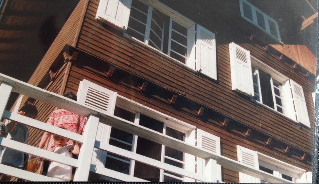 Family chalet 6 ch on 2 ha 3 km from Puy de Dome