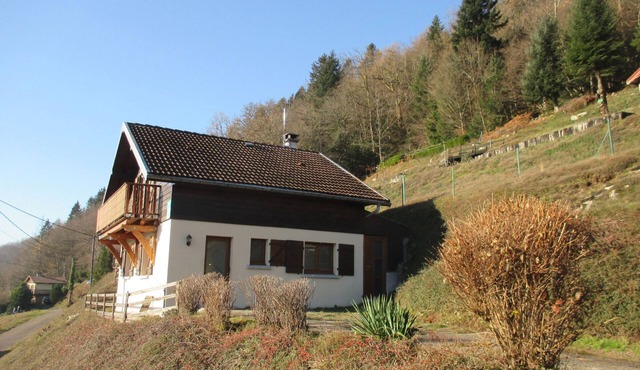 Family chalet in Vosges Park, WiFi and pets allowed