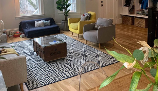 Family condo in the heart of Brookline, close to Boston!