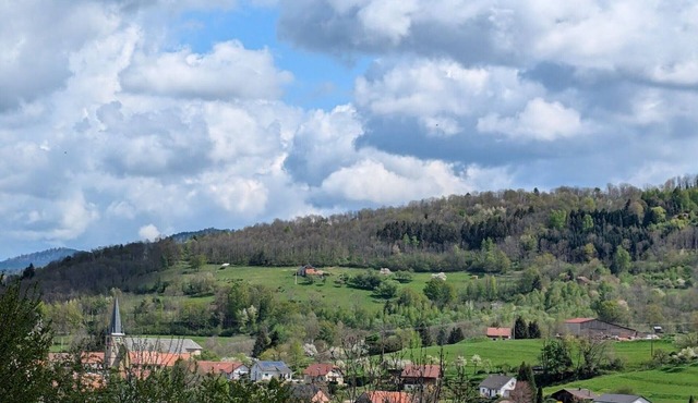 Family cottage in La Croix-aux-Mines with private entrance