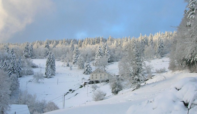 Family cottage in Cornimont with WiFi and parking