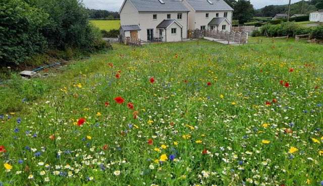 Family Country Cottage with Stunning Mountain Views