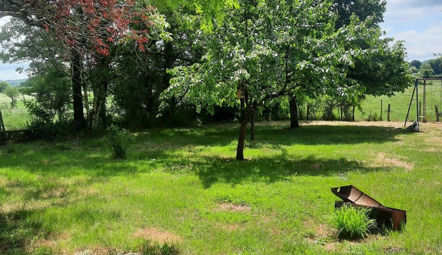 Family country house for rent, pets welcome.