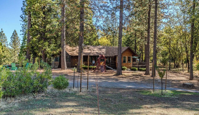 Family & Dog friendly Fenced 5Acr: Pool Table, Playground, Firepit, BBQ, Starlnk