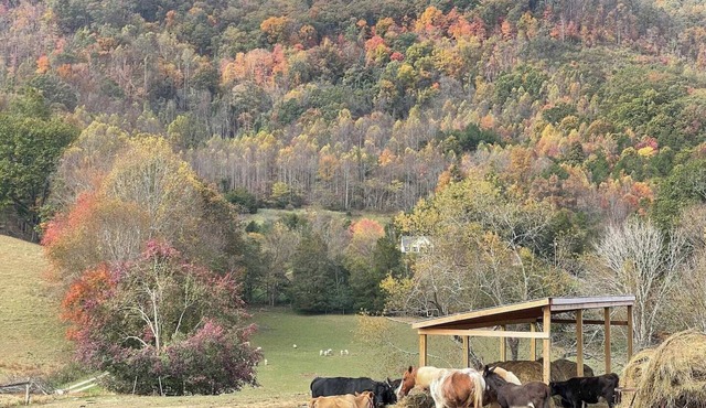 Family farm guest house 10 minutes from Big Stone