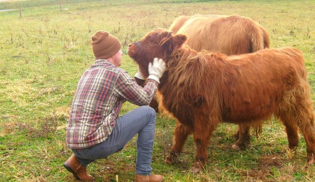 Family Farm Stay with Highland Cows Near Pittsburgh