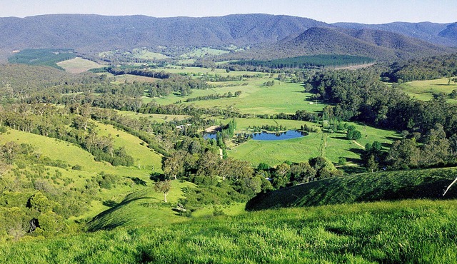 Family Focused Farmstay Nestled Amidst the Great Divide Range