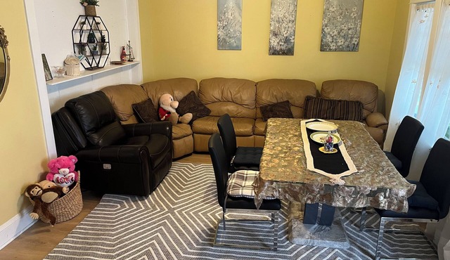 Family friends for New York comfortable home