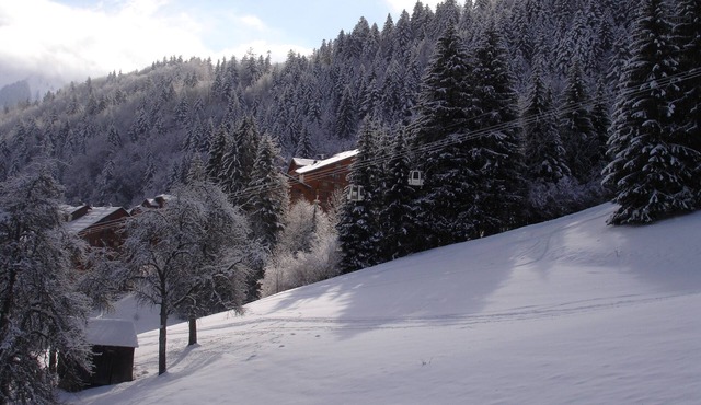 Family Friendly Apartment with Balcony and Stunning Mountain Views