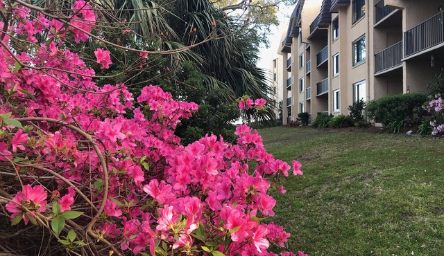 Family-friendly oceanside condo on Hilton Head Island