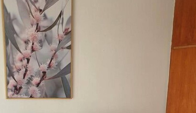 Family-Friendly 3-Bed near Sov Hill