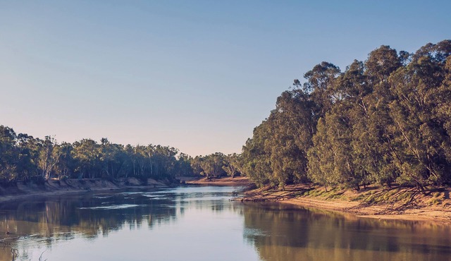 Family friendly accommodation up among the gum trees, kookaburras and kangaroos