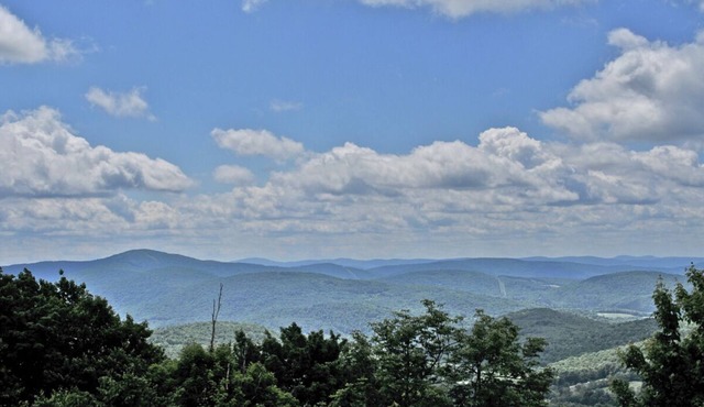Family-Friendly Adventure In the Catskills! Close to Bushel Collective!