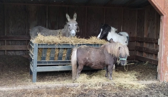 Family Friendly Barndominium in Amish Country (Sleeps 8)