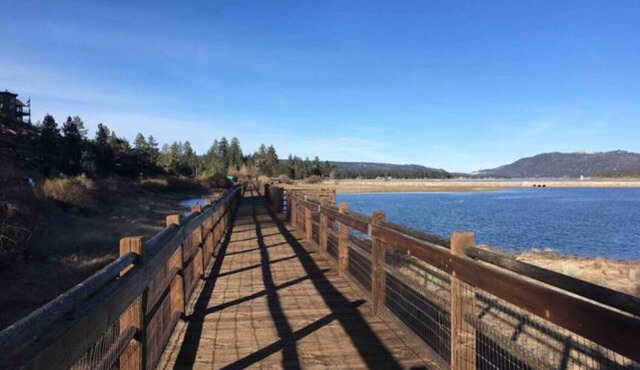 Family friendly cabin with large fenced rear yard