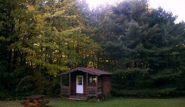 Family Friendly Cabin - Sleeps 4, Hiking, Mountain Biking, Beautiful & Private