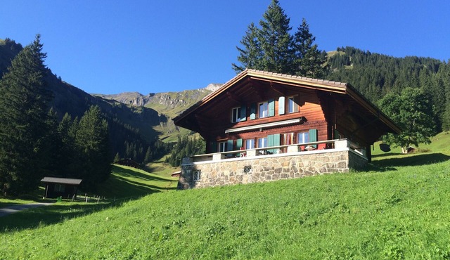 Family friendly, charming, traditional Swiss Alpine Chalet