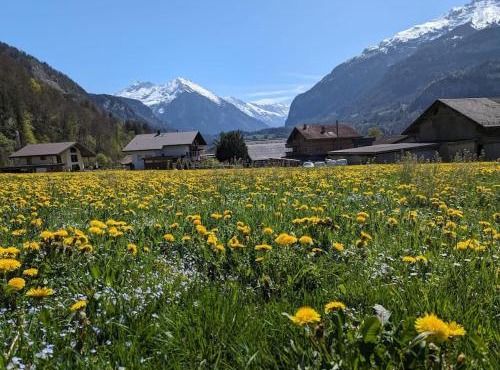 Family-friendly chalet apt with balcony