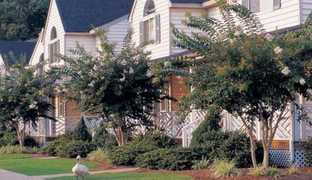 Family-Friendly Comfort at Powhatan Resort: Your Perfect Williamsburg Getaway