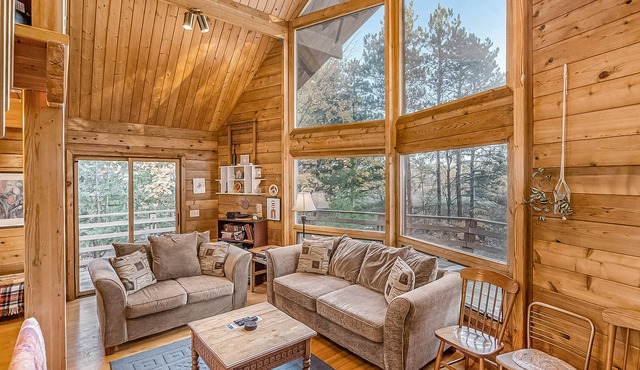 Family friendly, dog-friendly home with resort access - close to ski lifts!