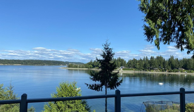 Family friendly, dog friendly, waterfront beach house