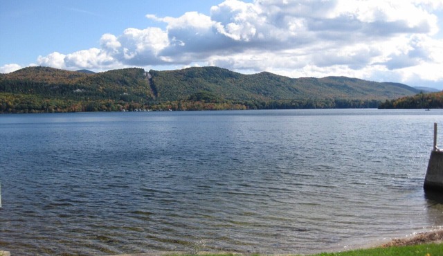 Family friendly getaway on Lake Dunmore