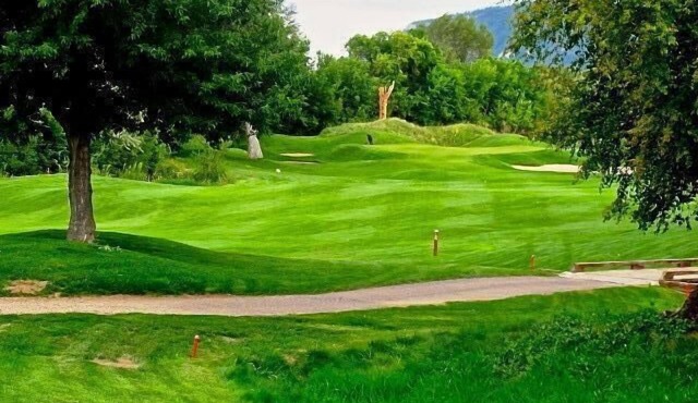 Family-friendly Golf Course Home near Purgatory. Hot Tub, BBQ. April Special.