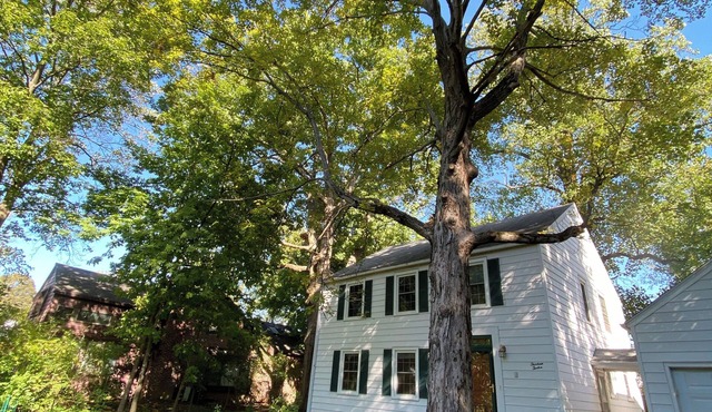 Family-friendly home, beautiful fenced-in yard, short walk to Ball State Campus